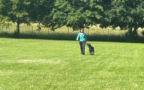 AIMG-20250614-WA0092 (11).jpg