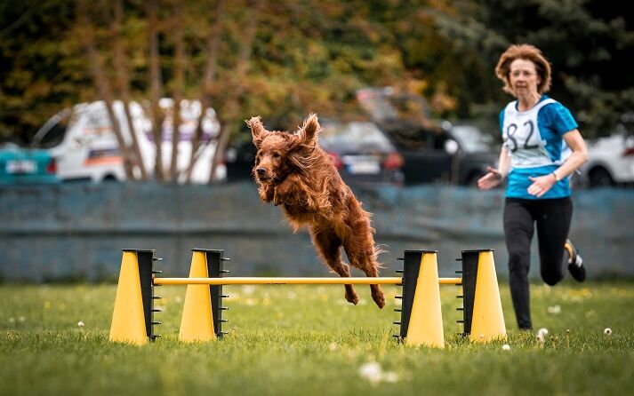 sarah-langner-fotografie_DSC05909_Original (priv. Nutzung) _ad329a8e_.JPG