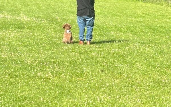 AIMG-20250614-WA0092 (30).jpg