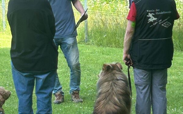 AIMG-20250614-WA0099 (1).jpg