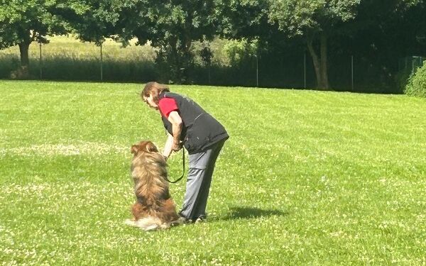 AIMG-20250614-WA0092 (1).jpg