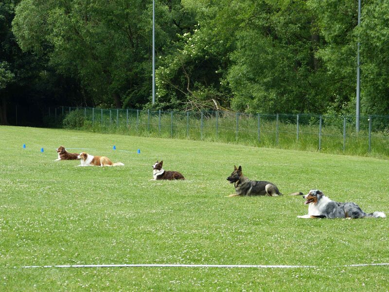 Obi-Prüfung Juni2025