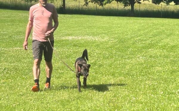 AIMG-20250614-WA0092 (13).jpg