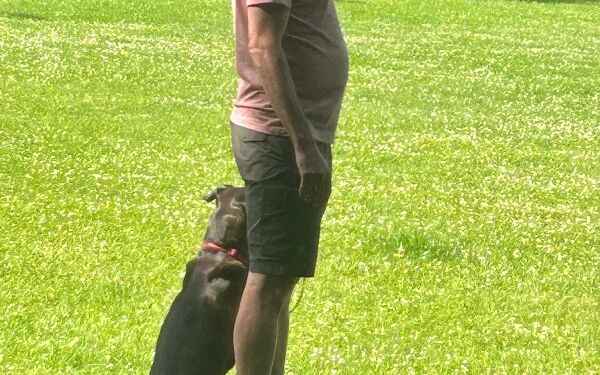 AIMG-20250614-WA0092 (14).jpg