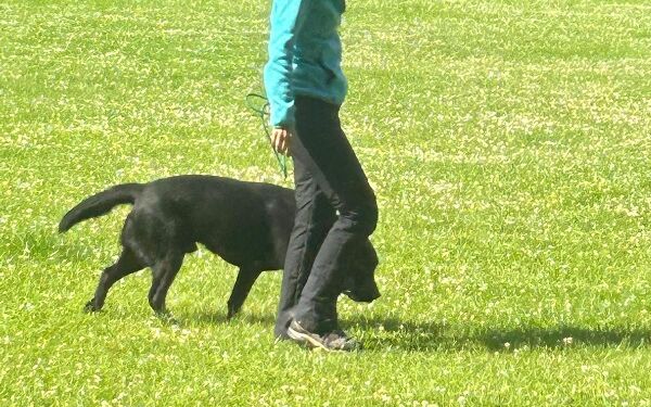 AIMG-20250614-WA0092 (17).jpg