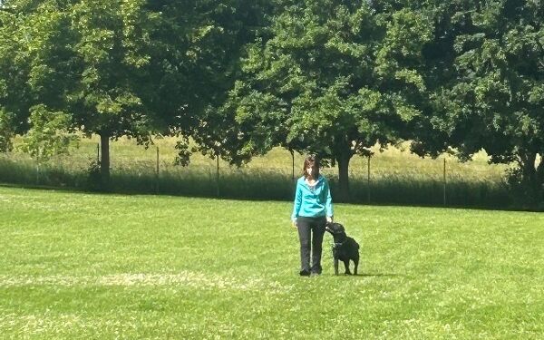 AIMG-20250614-WA0092 (10).jpg