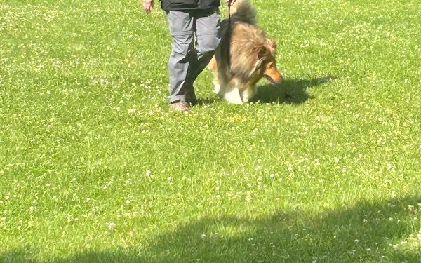 AIMG-20250614-WA0092 (2).jpg