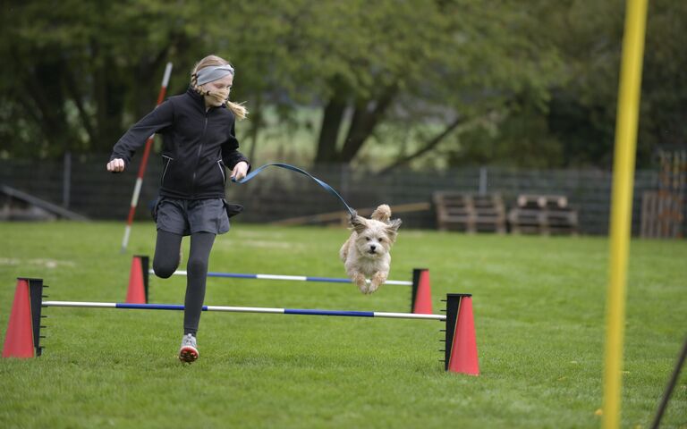 web vsghniddatal_128.JPG