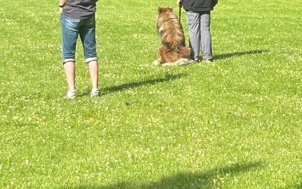 AIMG-20250614-WA0092 (8).jpg