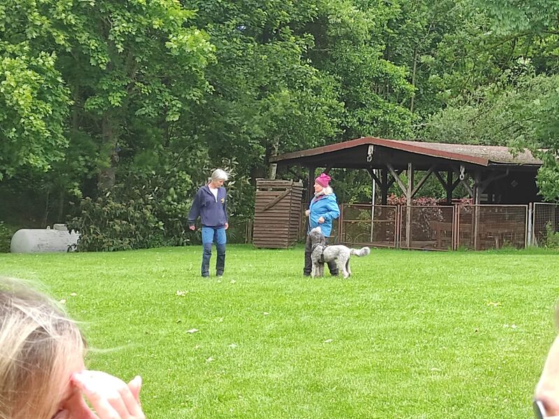 Ralley-O-Trainingstag