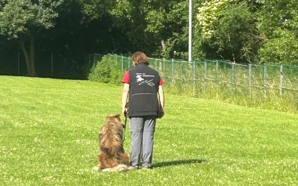 AIMG-20250614-WA0092 (5).jpg