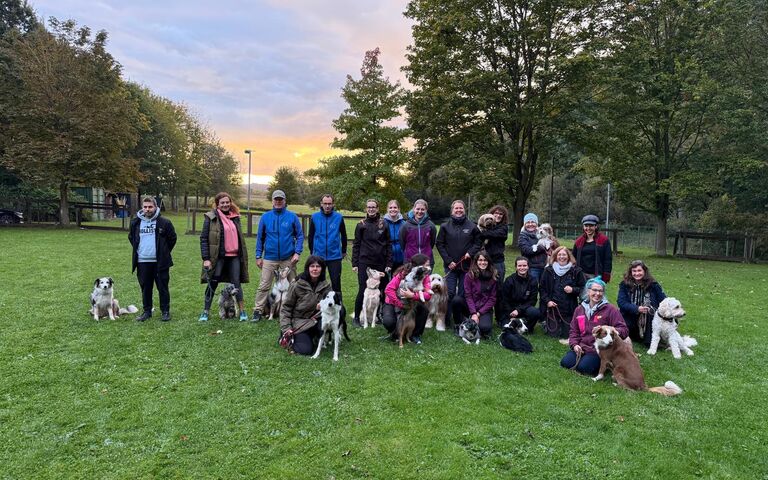 04_Agility-Staffellauf Run & Grill (4).JPG