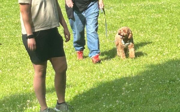 AIMG-20250614-WA0092 (29).jpg