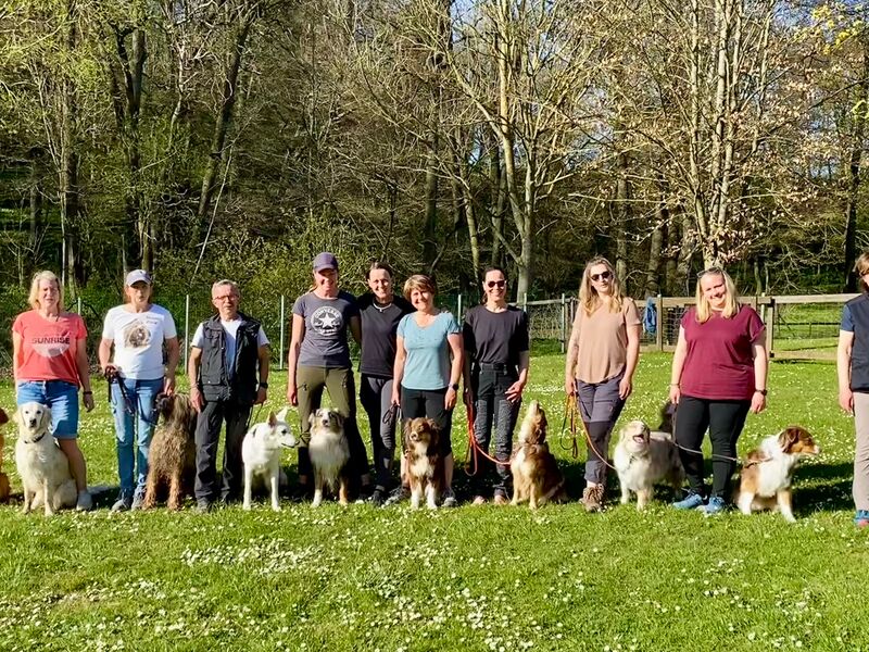 Obi-Seminar Anne Weiss