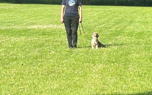 AIMG-20250614-WA0092 (21).jpg