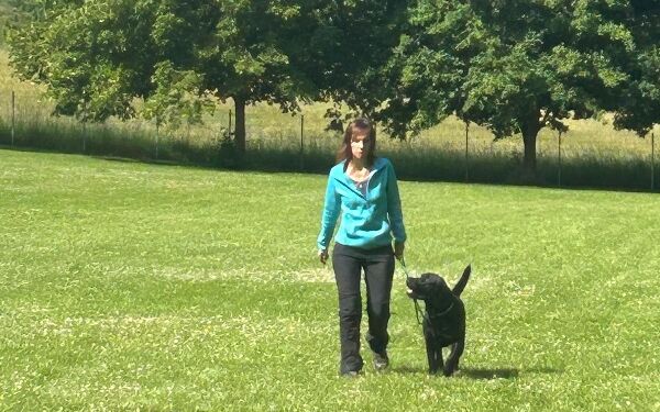 aIMG-20250614-WA0068 (2).jpg