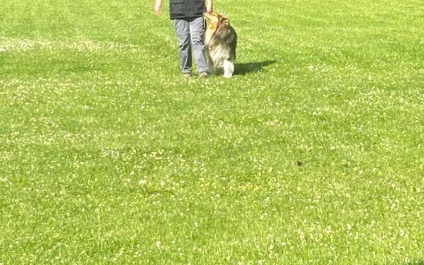 AIMG-20250614-WA0092 (3).jpg